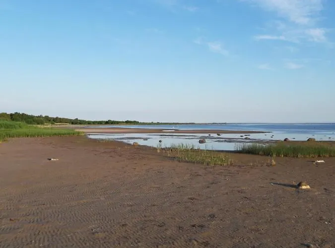 Kipi-koovi Centre Kipi