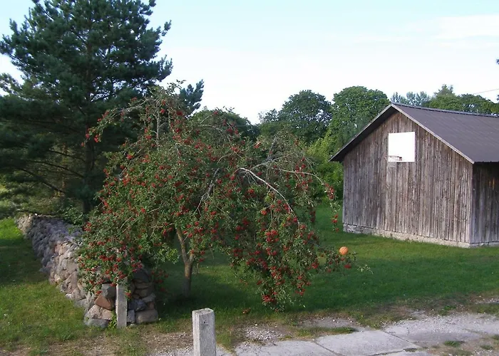 Kipi-koovi Centre Kipi