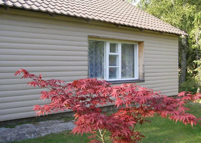 Tatil parkı Kipi-koovi Centre